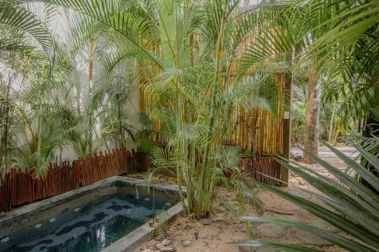 Ideal 4 Groups Aldeazama 2Br 10Pax Apt Papaya Playa トゥルム エクステリア 写真